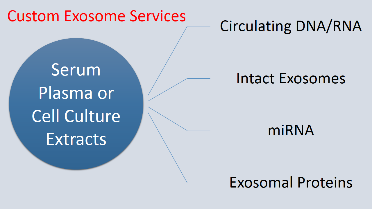Exosome Ser Pic