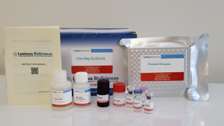 glutathione s transferase theta 2 elisa kit antibody Human GSTθ2/GSTt2(Glutathione S Transferase Theta 2) - FineTest ELISA Kit tissue homogenates Glutathione S Transferase Theta 2